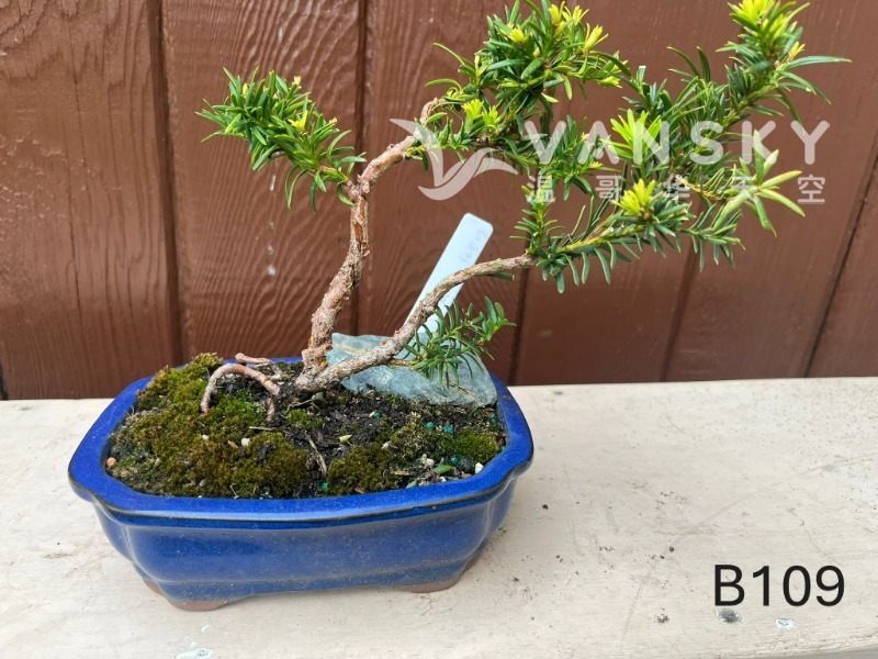 260323231116_B109 30 - 25-08.JPG